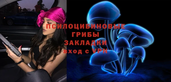 крисы Бронницы