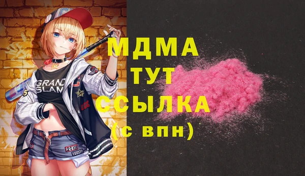 ГАЛЛЮЦИНОГЕННЫЕ ГРИБЫ Бородино