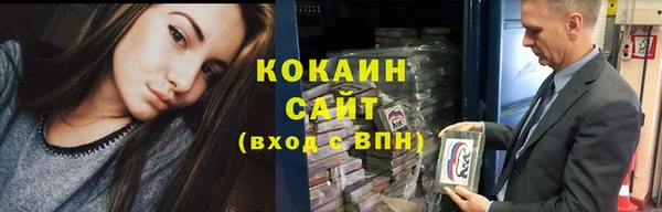 ГАЛЛЮЦИНОГЕННЫЕ ГРИБЫ Бородино