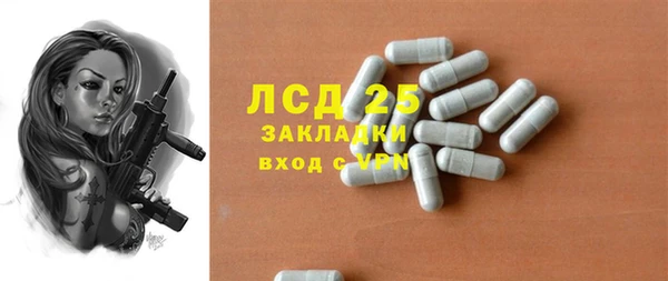 ГАЛЛЮЦИНОГЕННЫЕ ГРИБЫ Бородино