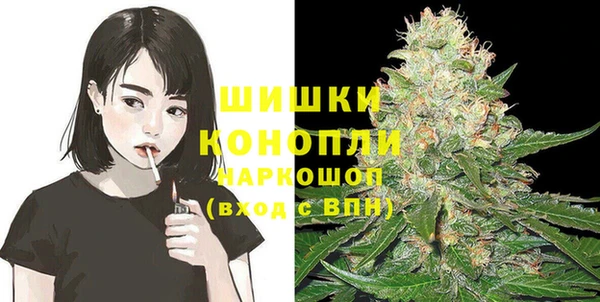 крисы Бронницы
