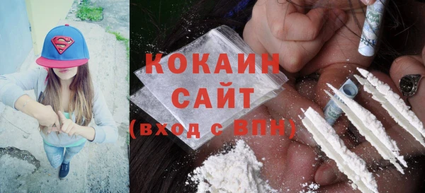 крисы Бронницы