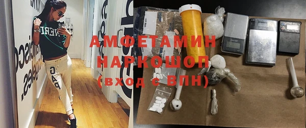 ГАЛЛЮЦИНОГЕННЫЕ ГРИБЫ Бородино