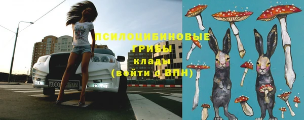 крисы Бронницы